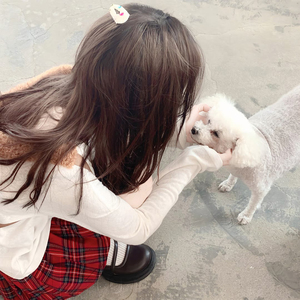 久草视频福利在线
