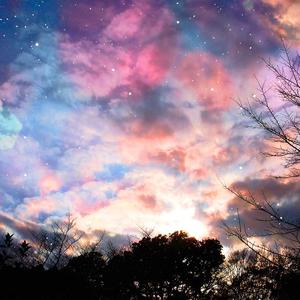 久草视频福利在线
